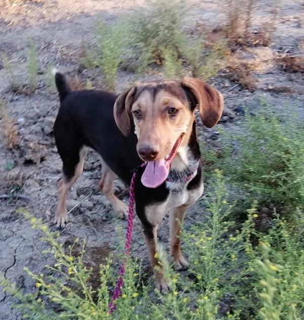 multimedia-foto60944-574-1