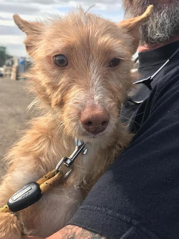 multimedia-foto60992-797-1