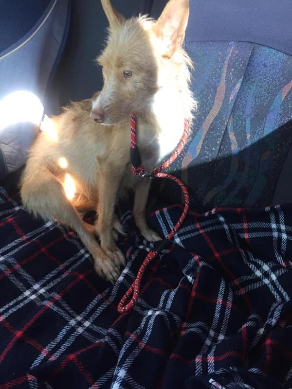 multimedia-foto60993-797-1