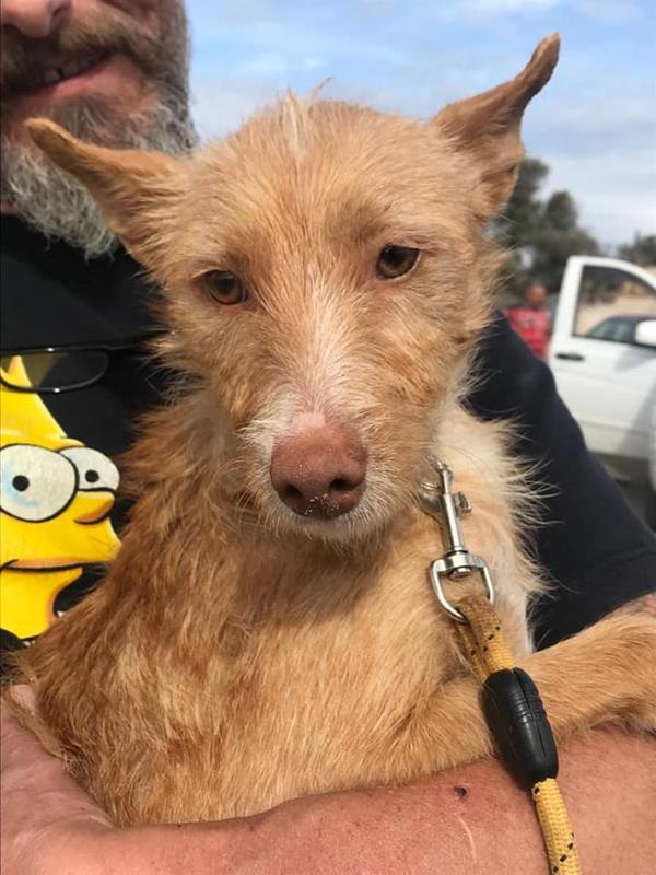 multimedia-foto60994-797-1