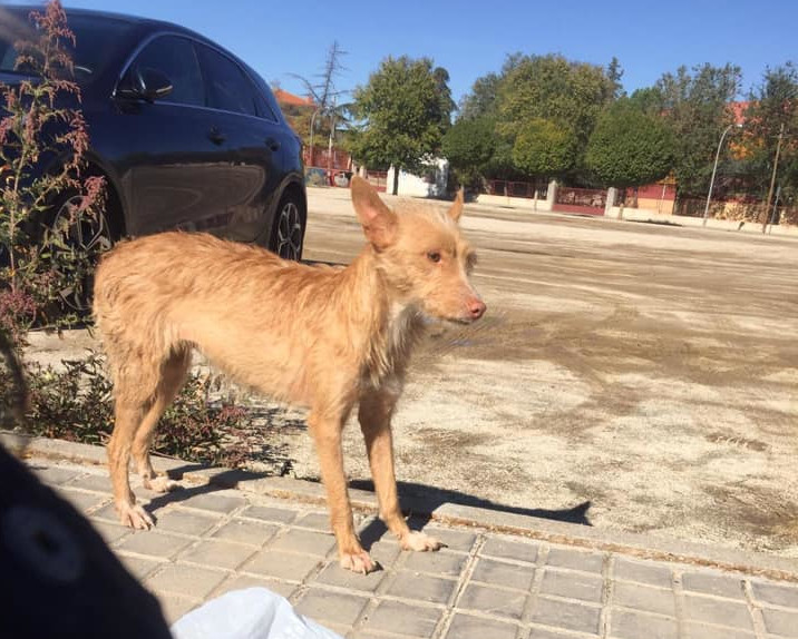 multimedia-foto60995-797-1