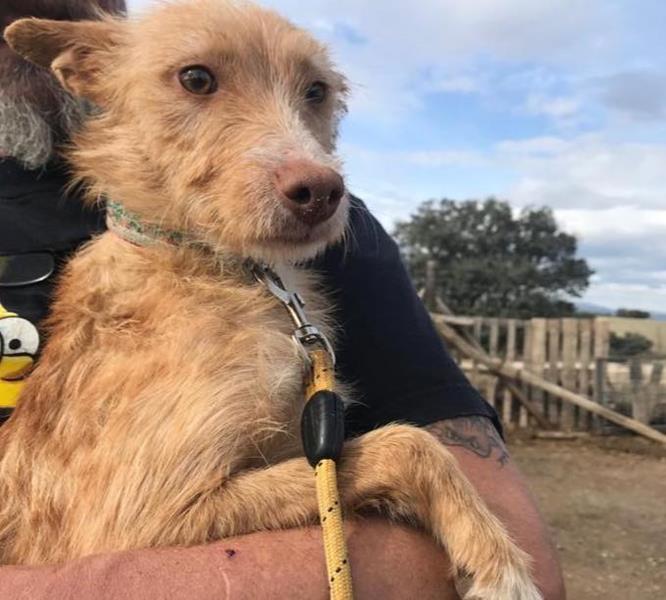 multimedia-foto60996-797-1