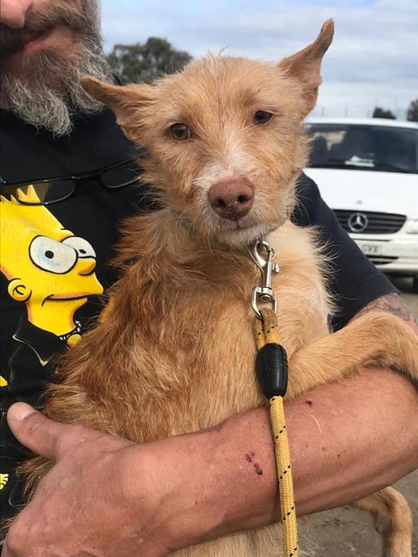 multimedia-foto60997-797-1