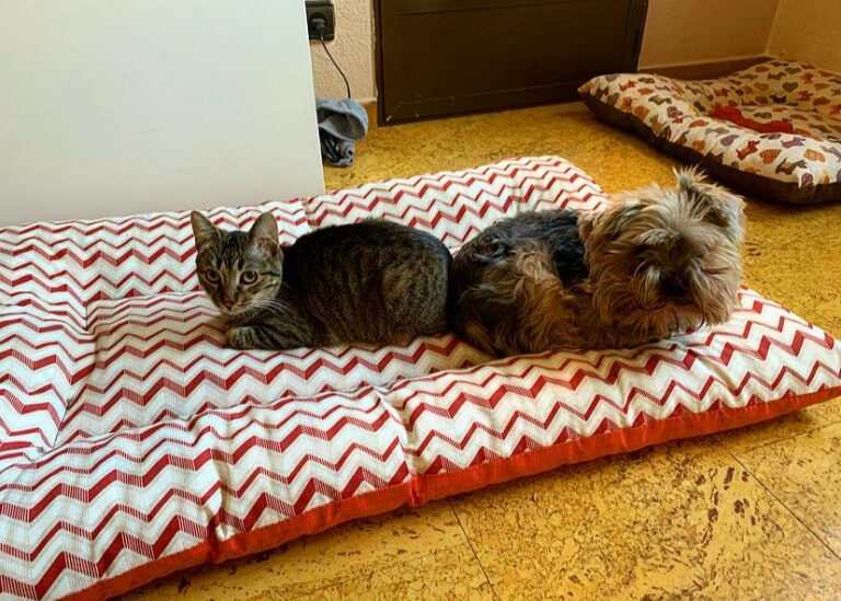 multimedia-foto61000-93-1