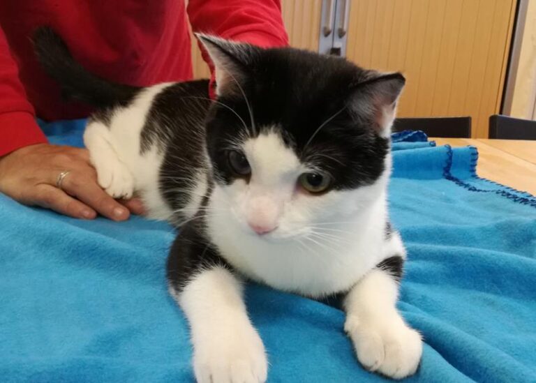 multimedia-foto61006-590-1