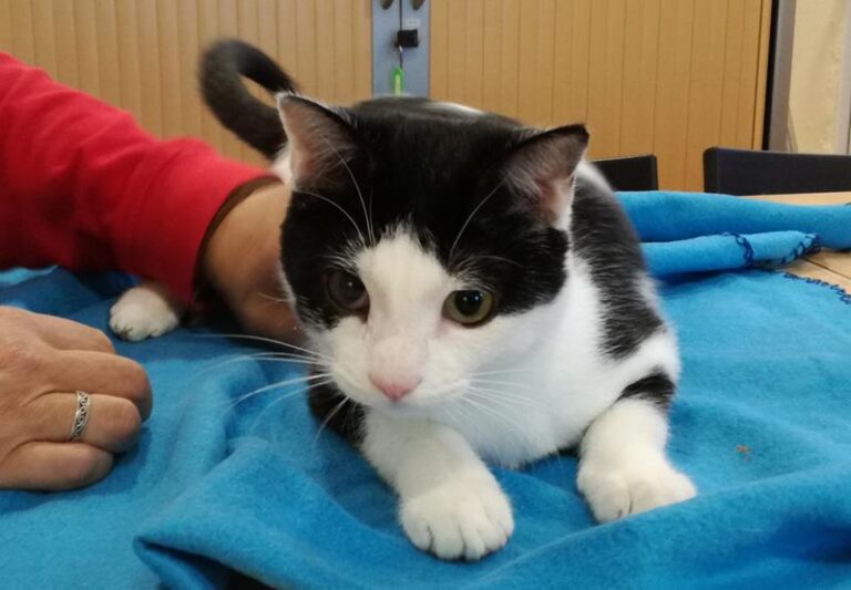 multimedia-foto61008-591-1