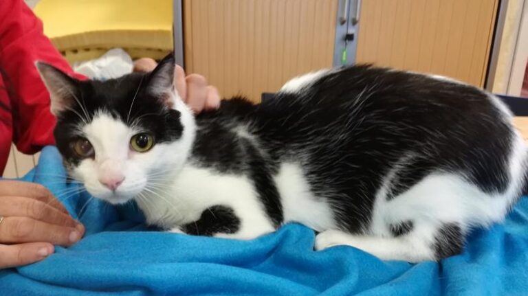 multimedia-foto61009-591-1