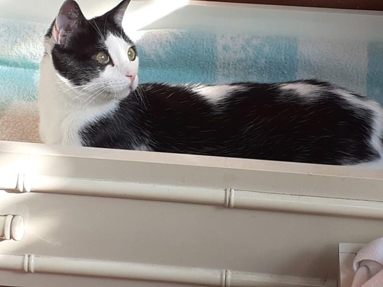 multimedia-foto61019-292-1