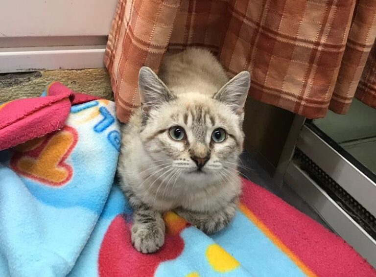 multimedia-foto61025-185-1