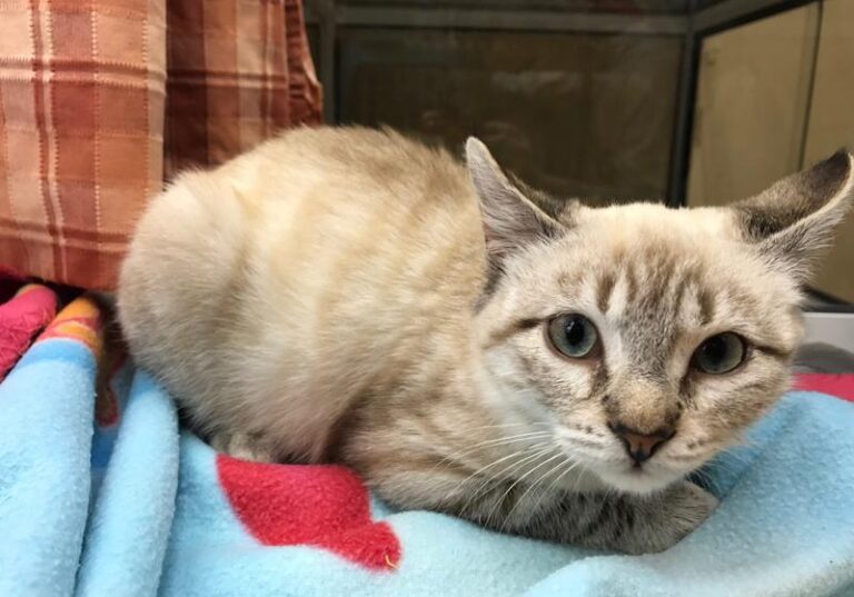 multimedia-foto61028-186-1