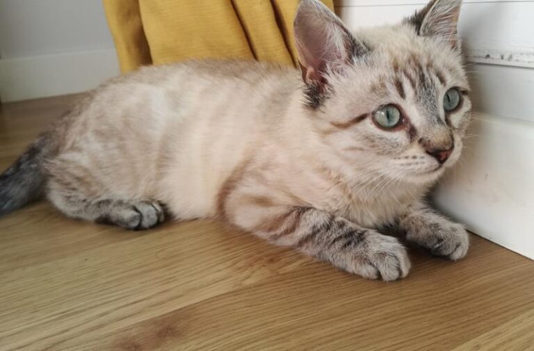 multimedia-foto61031-186-1