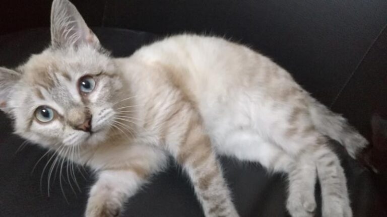 multimedia-foto61033-210-1