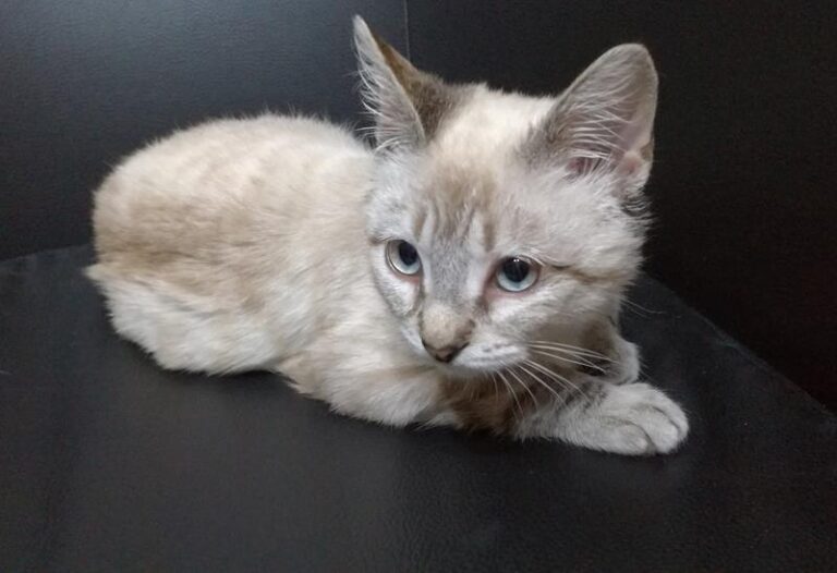 multimedia-foto61034-210-1