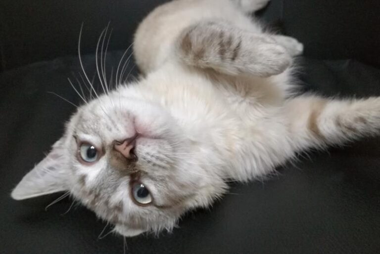 multimedia-foto61035-210-1