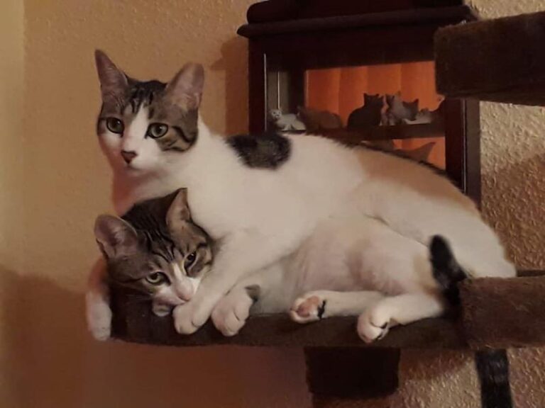 multimedia-foto61041-69-1