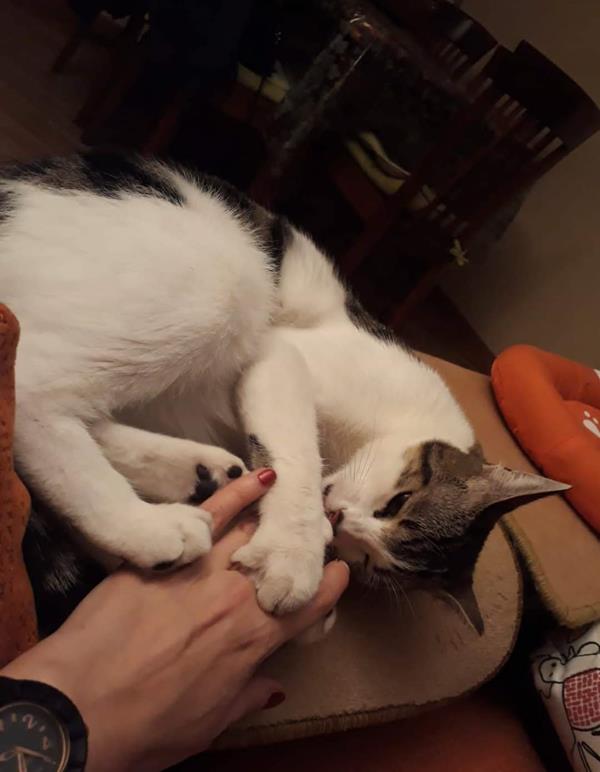 multimedia-foto61042-69-1