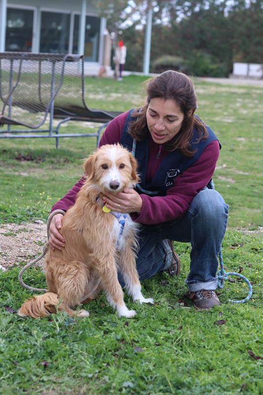 multimedia-foto61051-56-1