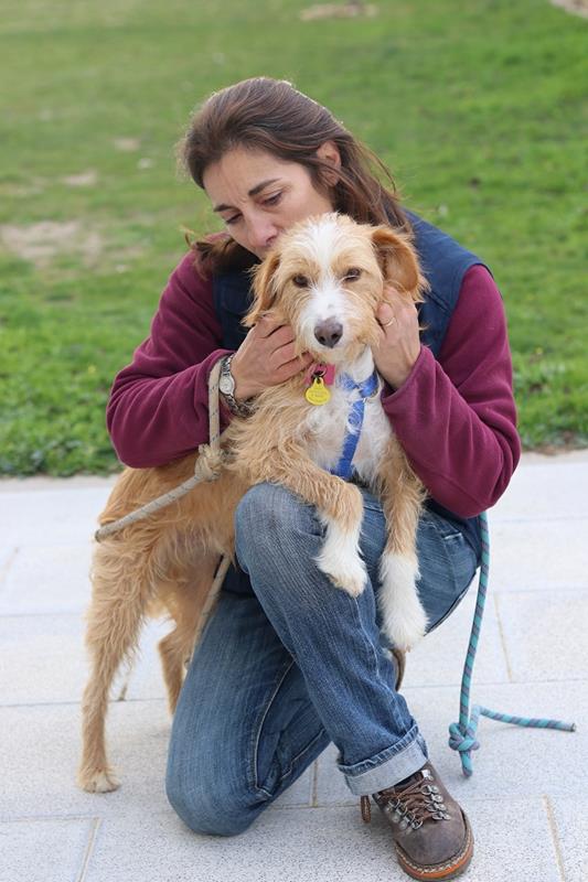 multimedia-foto61052-57-1