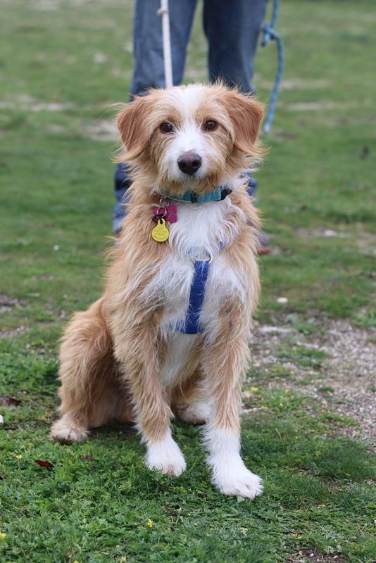 multimedia-foto61053-57-1