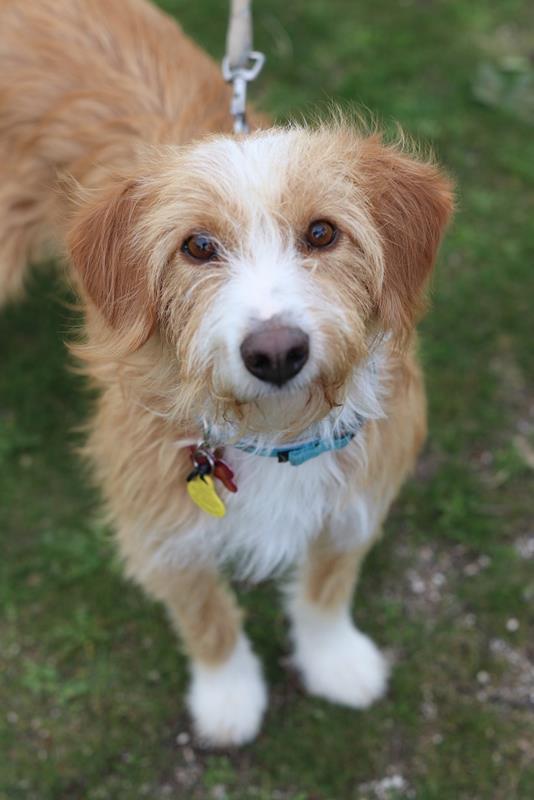 multimedia-foto61054-57-1