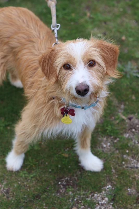 multimedia-foto61055-57-1