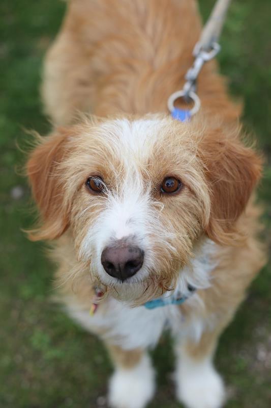 multimedia-foto61056-57-1