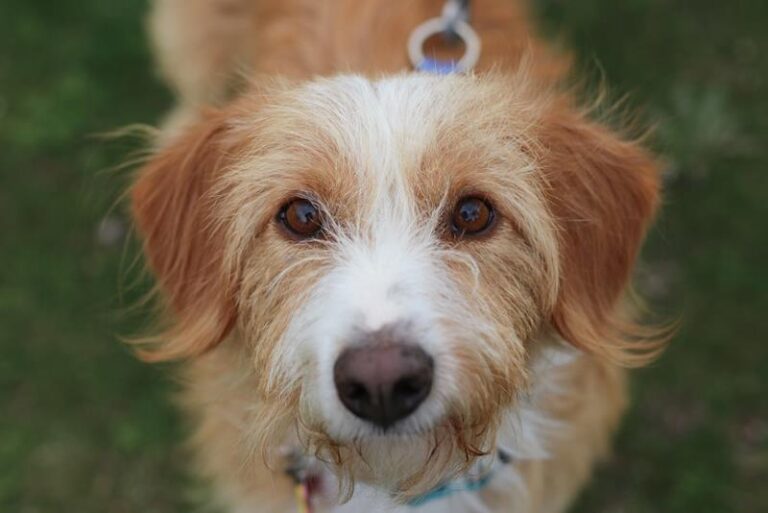 multimedia-foto61057-57-1