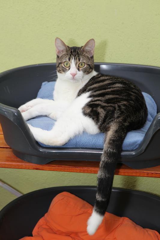 multimedia-foto61058-728-1