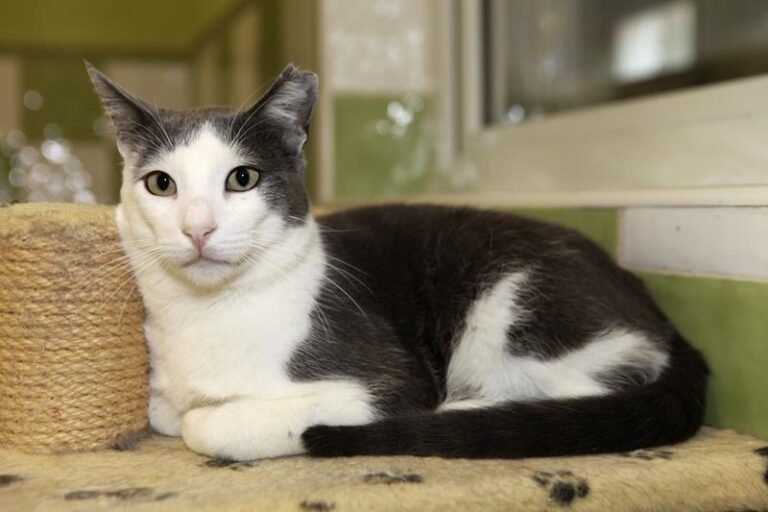 multimedia-foto61061-778-1