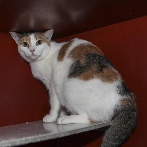 multimedia-foto61066-710-1