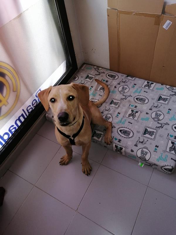 multimedia-foto61080-482-1