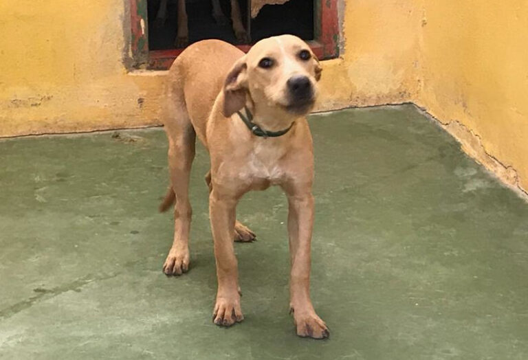 multimedia-foto61081-482-1