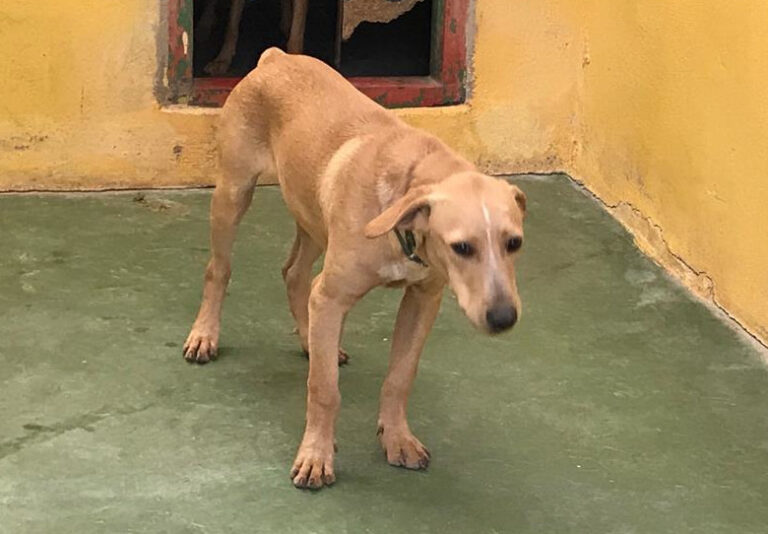 multimedia-foto61082-483-1