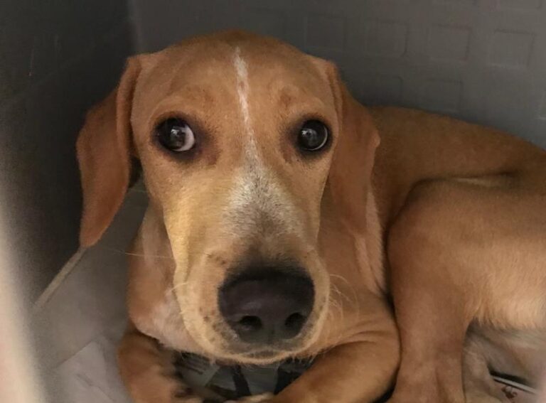 multimedia-foto61083-483-1