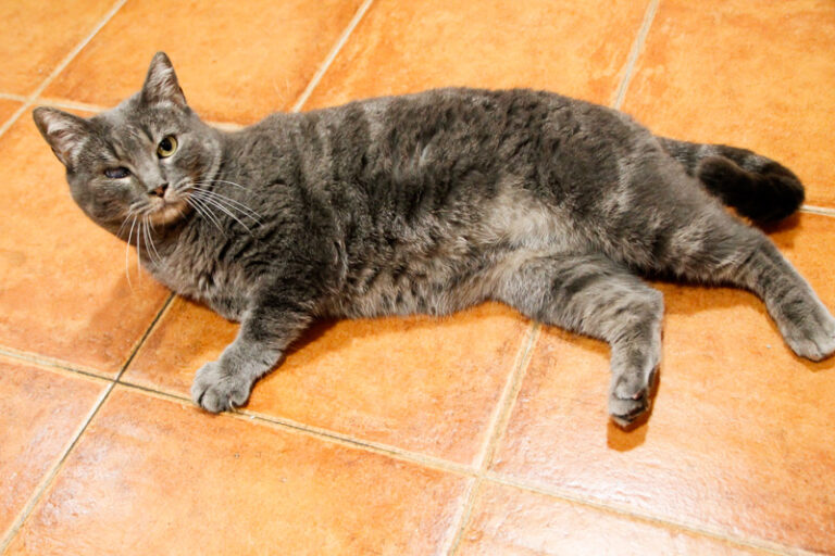 multimedia-foto61085-820-1