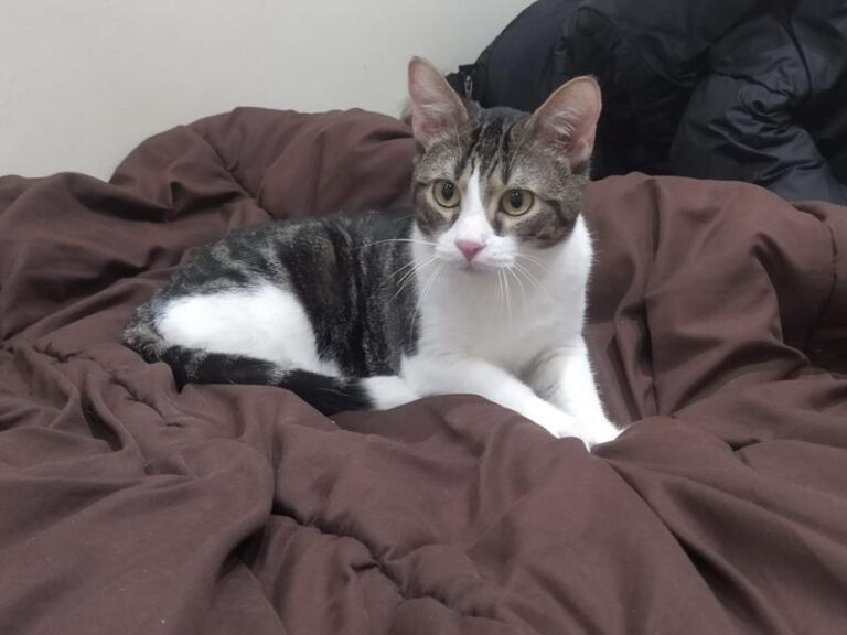 multimedia-foto61089-170-1