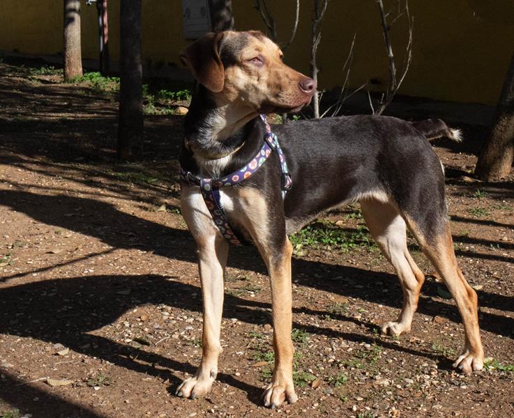 multimedia-foto61093-407-1