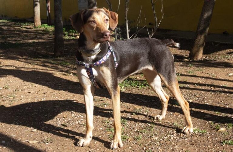 multimedia-foto61094-407-1