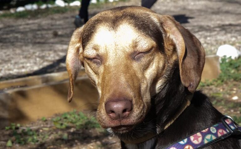 multimedia-foto61095-407-1