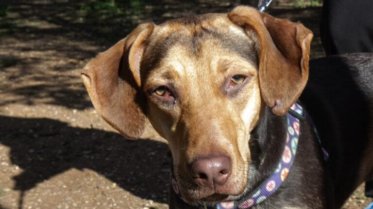 multimedia-foto61096-408-1