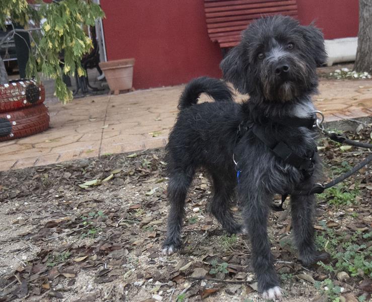 multimedia-foto61107-573-1