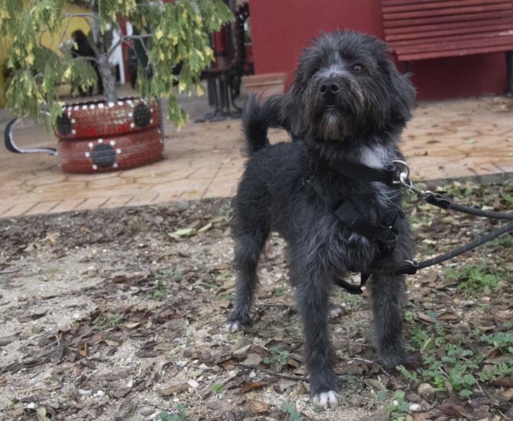 multimedia-foto61108-573-1