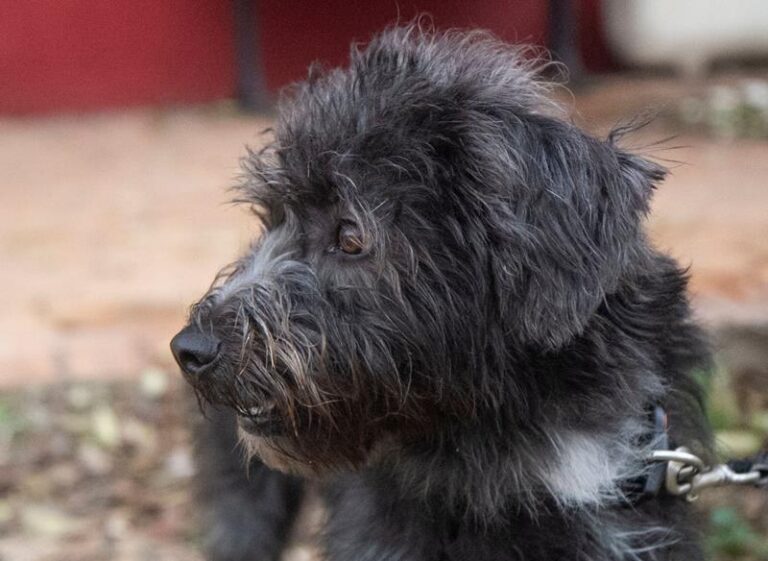 multimedia-foto61109-573-1