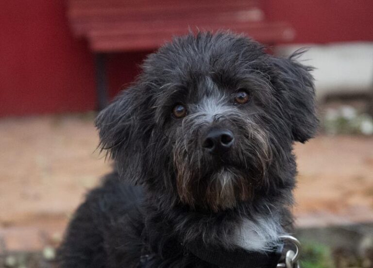 multimedia-foto61110-573-1