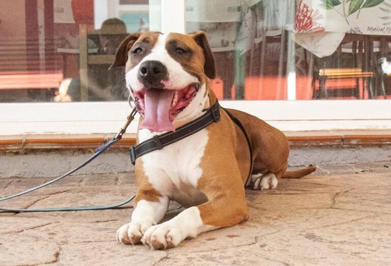 multimedia-foto61111-791-1