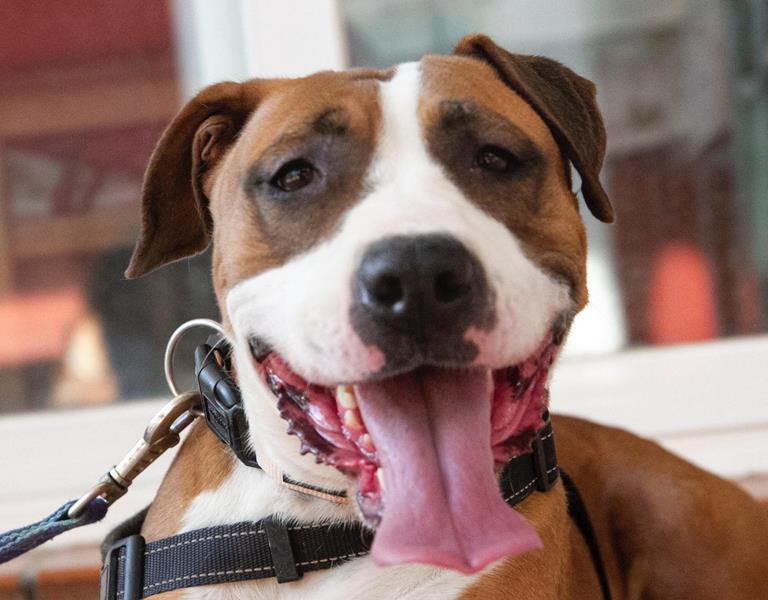 multimedia-foto61112-791-1