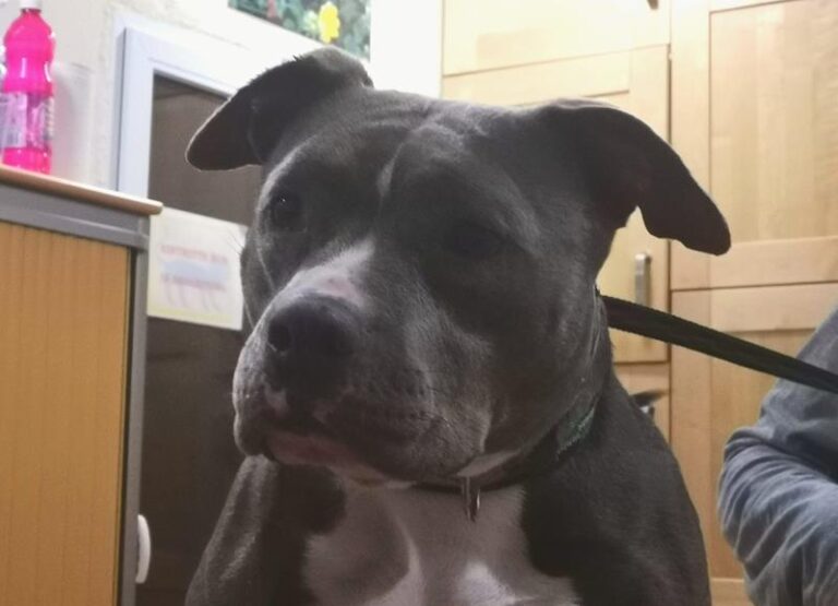 multimedia-foto61165-55-1