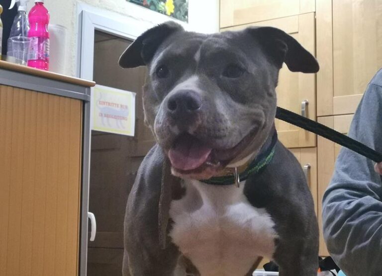 multimedia-foto61167-55-1