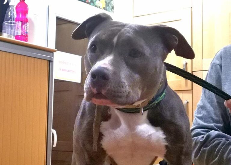 multimedia-foto61168-55-1