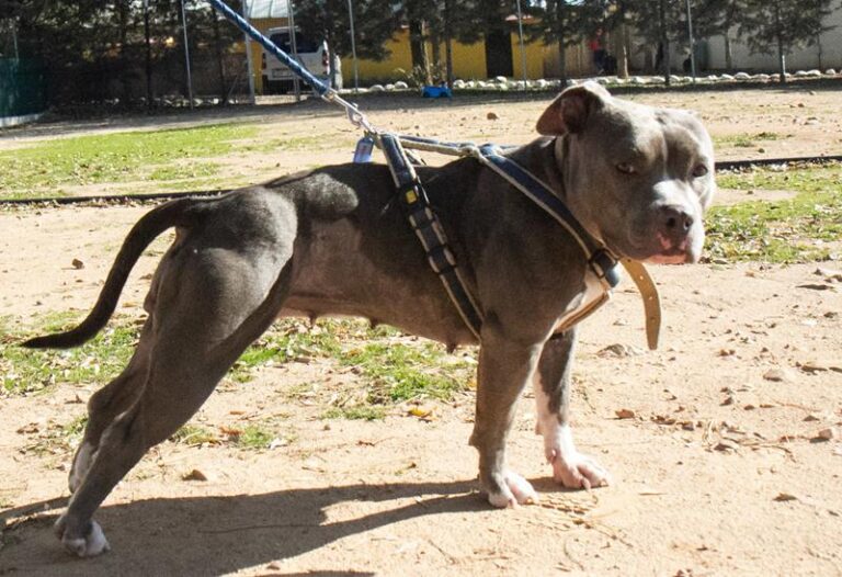 multimedia-foto61169-55-1